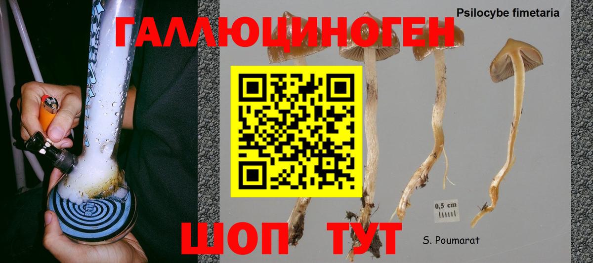 Галлюциногенные грибы мицелий Чебоксары